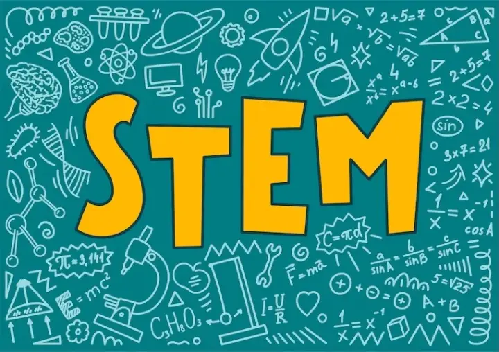 Logo STEM